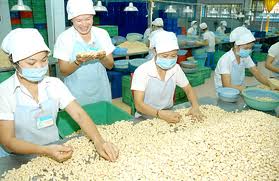 cơ hội mới cho thị trường xuất khẩu sang Đức